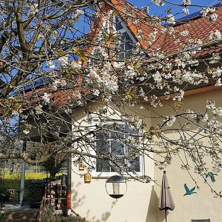 Apartmán Auszeit Am Nationalpark Kleinern