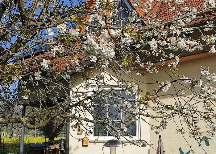 아파트 Auszeit Am Nationalpark Kleinern
